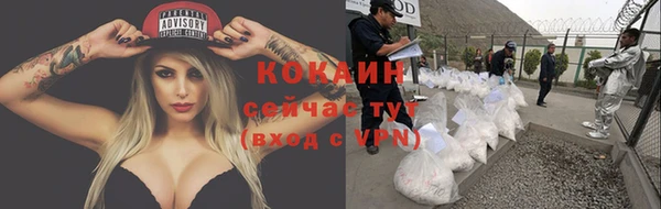 кокс Аркадак