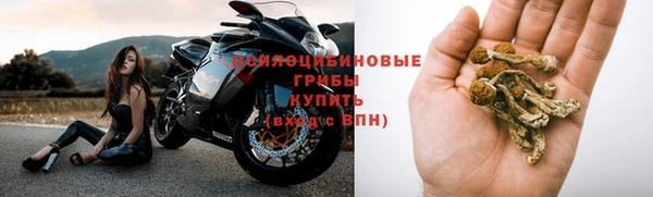 кокс Аркадак