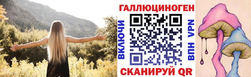 Галлюциногенные грибы мухоморы  OMG как войти  Удачный 