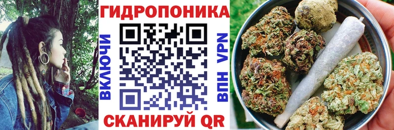 Шишки марихуана Bruce Banner  Удачный 